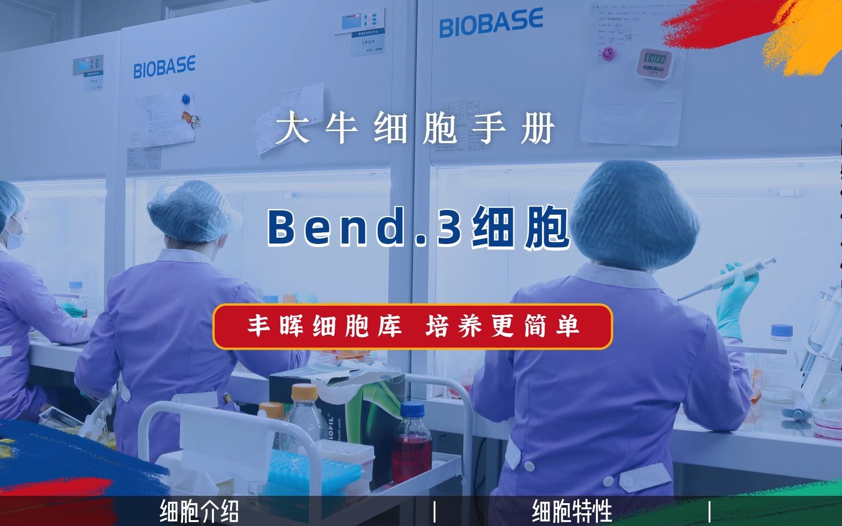 丰晖生物细胞库培养手册:Bend.3细胞培养,小鼠脑微血管内皮细胞培养攻略.哔哩哔哩bilibili