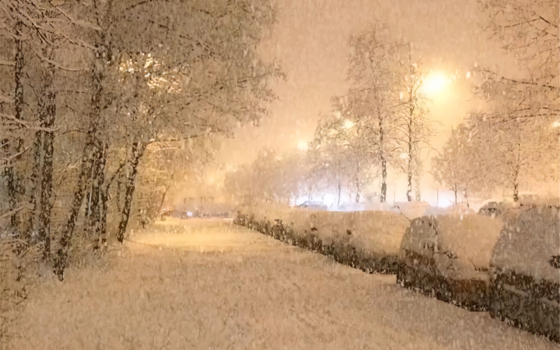 [图]大雪纷飞时你会想起谁？