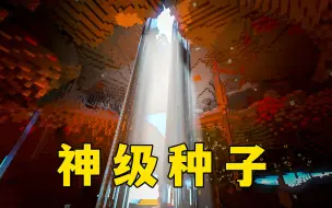 Descargar video: 我的世界：神级种子，无限矿井，箱子开到爽！