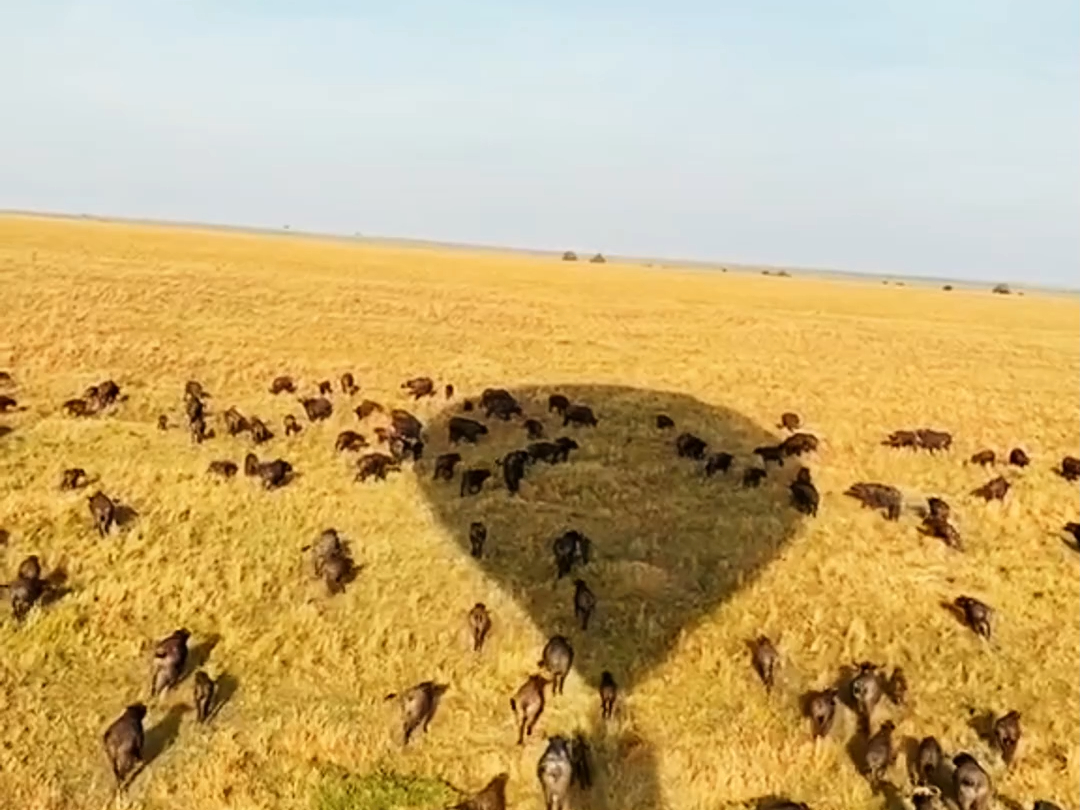 去非洲肯尼亚旅游,我以为会是这样的.