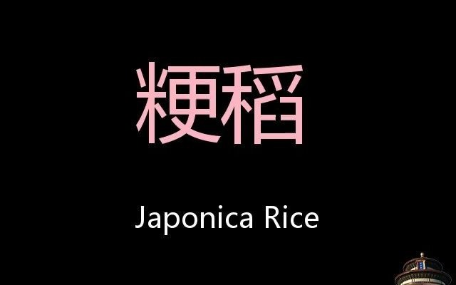 粳稻 chinese pronunciation japonica rice