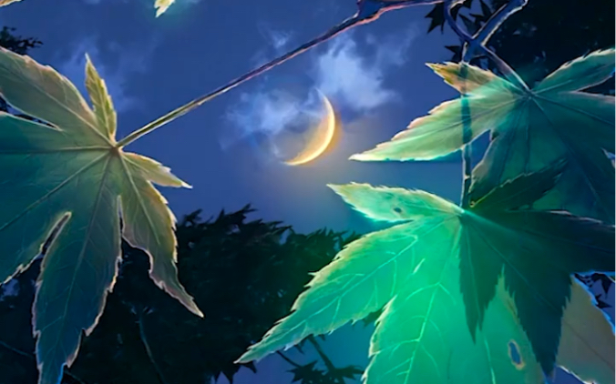 唯美片段,每一帧都是高清壁纸,每一声都是舒心声响,极度减压治愈!