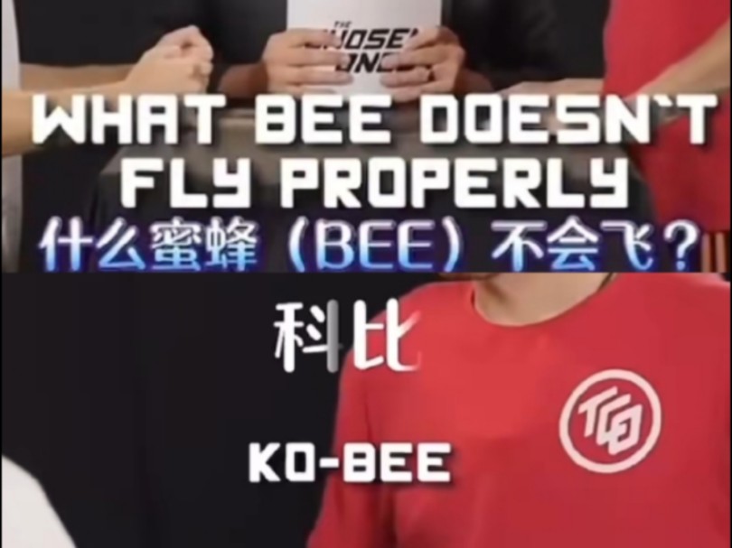 什么蜜蜂(bee)不会飞?哔哩哔哩bilibili