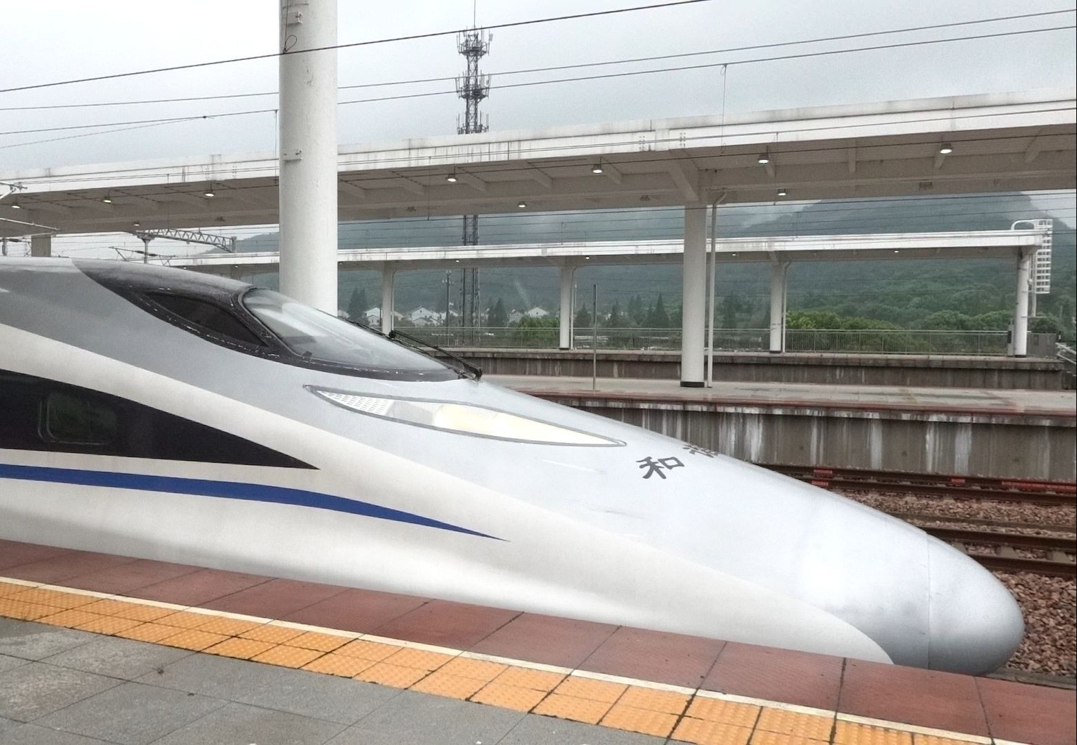 2021年7月27日,g3106次(杭州东站-新乡东站)本务