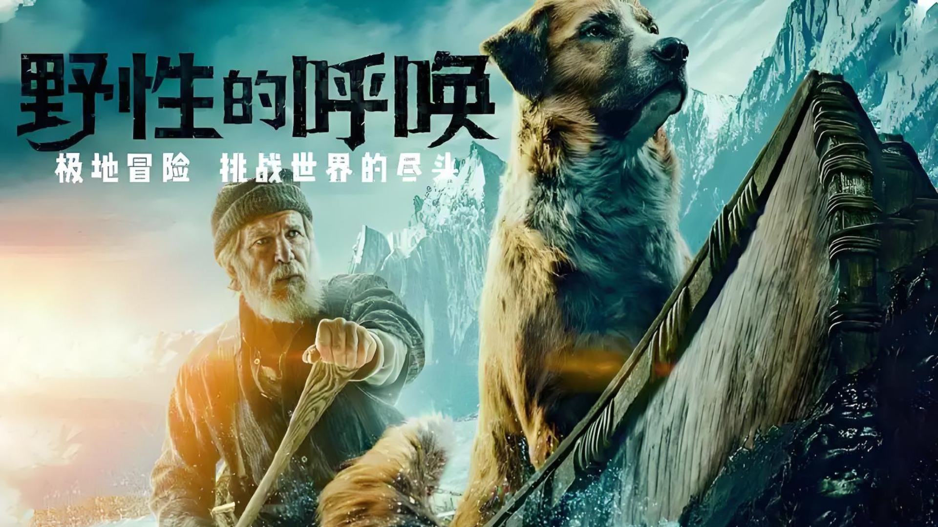 野性的呼唤第一集#科幻电影#野性的呼唤#狗狗