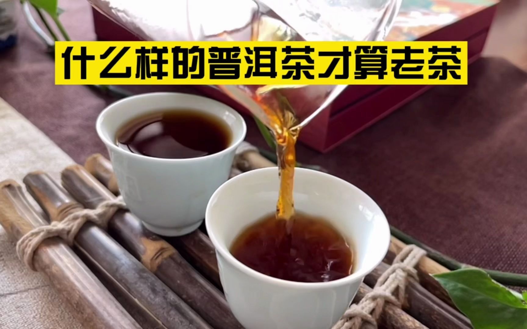 什么样的普洱茶才算老茶?哔哩哔哩bilibili