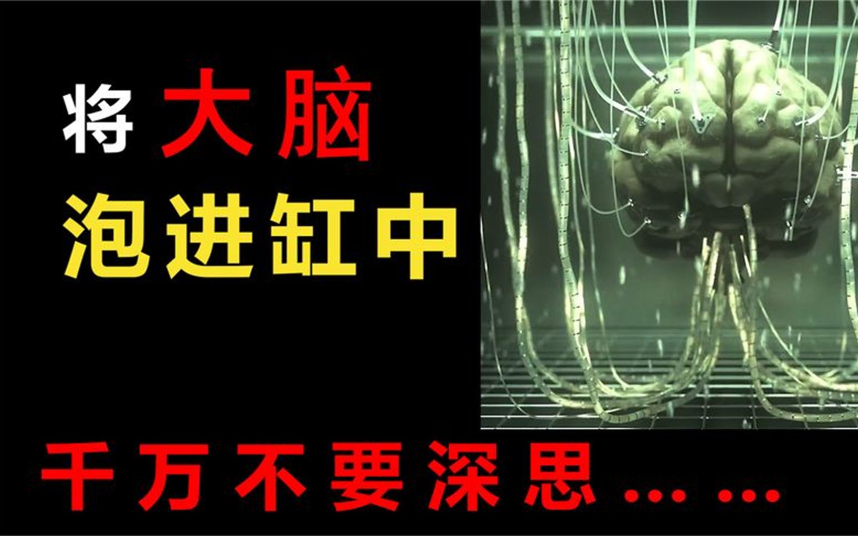 世界十大思想实验之:缸中之脑,忒修斯之船,电车难题!