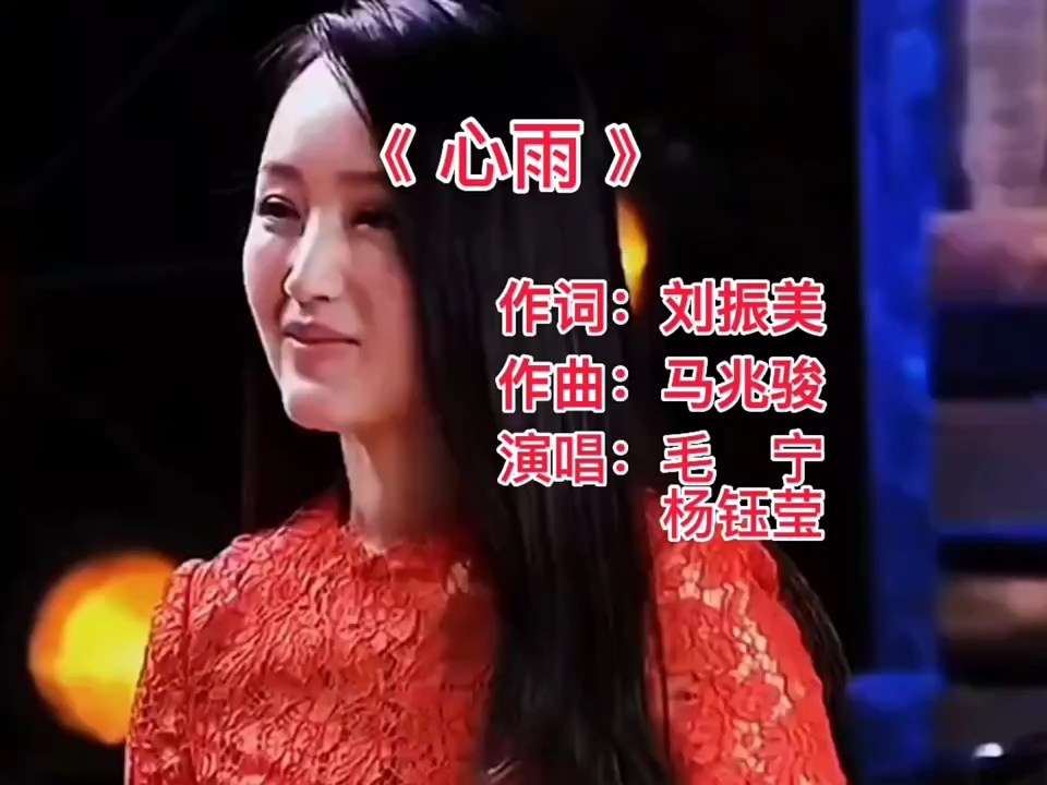 经典老歌《心雨》毛宁 杨钰莹哔哩哔哩bilibili