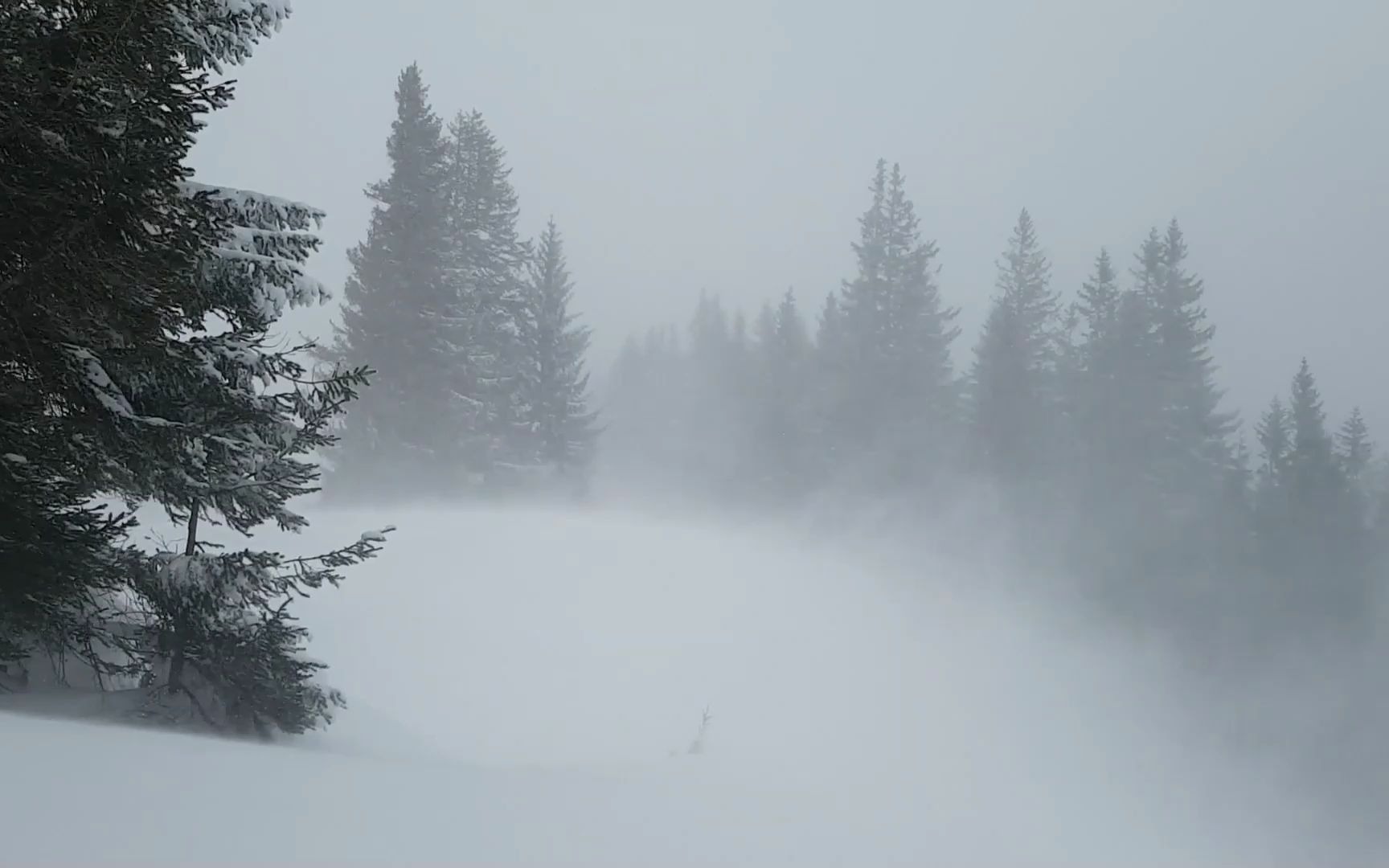 [图]暴风雪，雪的氛围