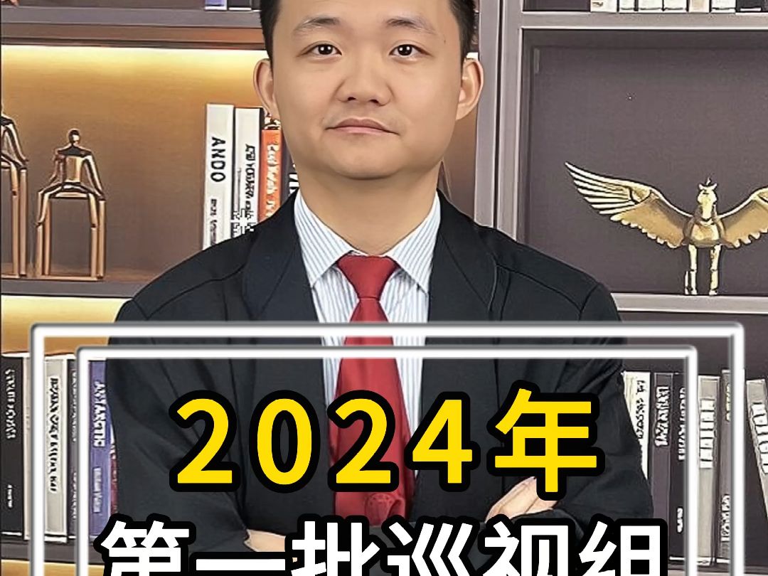 2024年第一批巡视组投诉举报电话哔哩哔哩bilibili