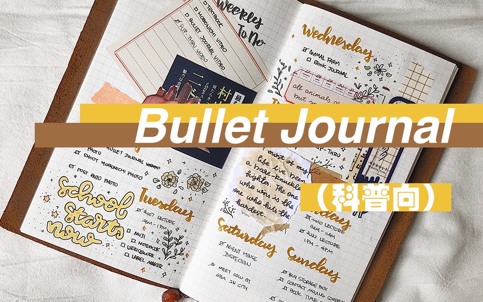 【Luna】关于 Bullet Journal 的那些事 // 科普向的第一弹哔哩哔哩bilibili