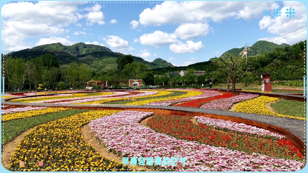 春天郭家沟五彩花圃