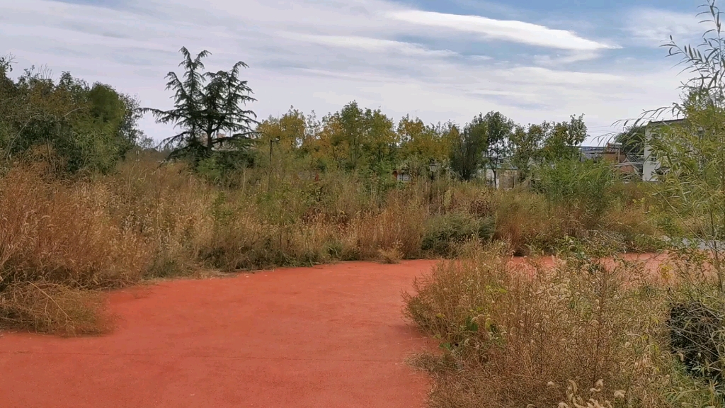 [图]天高云淡，望断南飞雁。不到长城非好汉，屈指行程二万。六盘山上高峰，红旗漫卷西风。今日长缨在手，何时缚住苍龙？