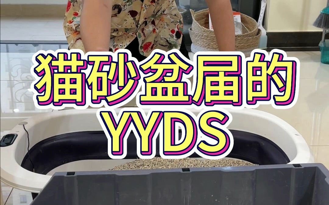猫砂盆届的yyds