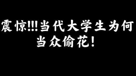 [图]偷花时默念“我是园林人...”@长城路-700号