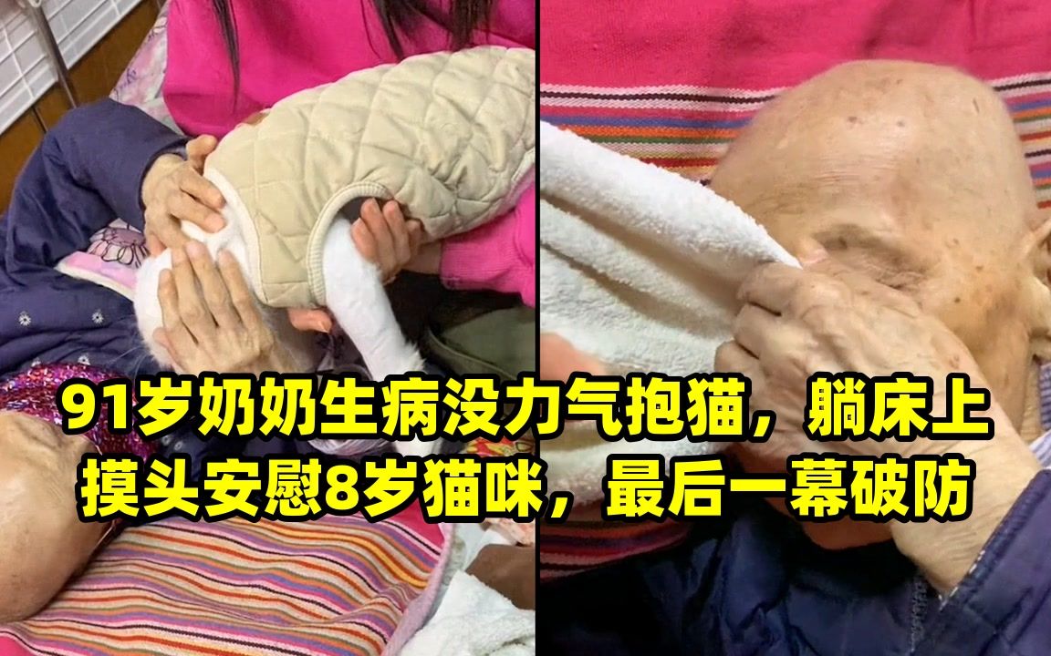 91岁奶奶生病没力气抱猫,躺床上摸头安慰8岁猫咪,最后一幕破防哔哩哔哩bilibili