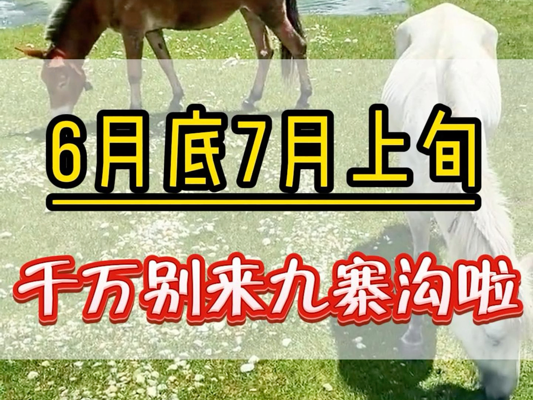 6月底7月上旬千万不要来九寨沟了,来了你就会发现6月底7月上旬上九寨沟的一个小淡季.这个时候也是避开暑假的高峰期.哔哩哔哩bilibili