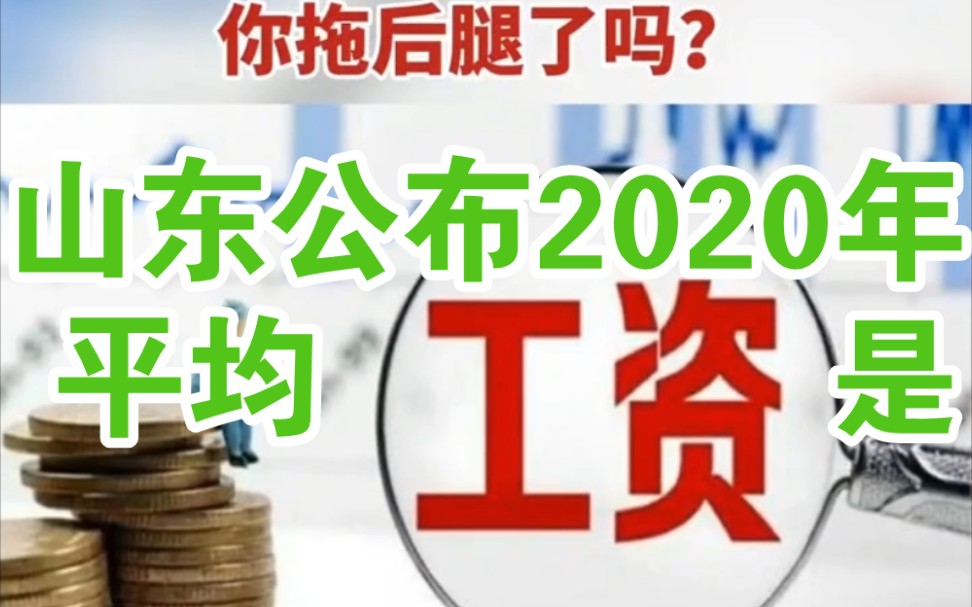 #山东公布2020年度全省职工平均工资为87749元#2020年度全省职工平均工资(城镇非私营单位从业人员平均工资口径)为87749元哔哩哔哩bilibili