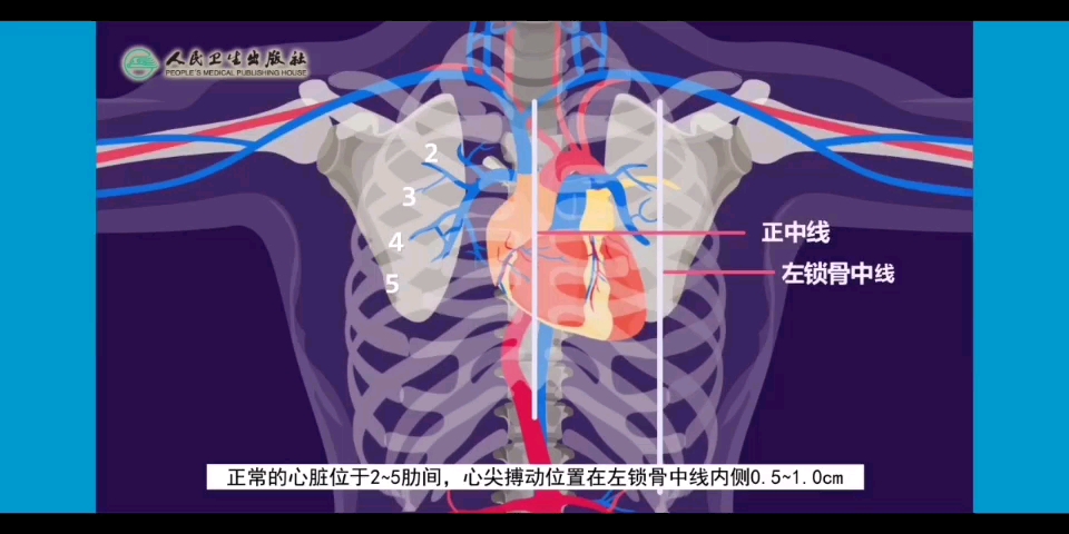 【诊断学】典型心界改变哔哩哔哩bilibili