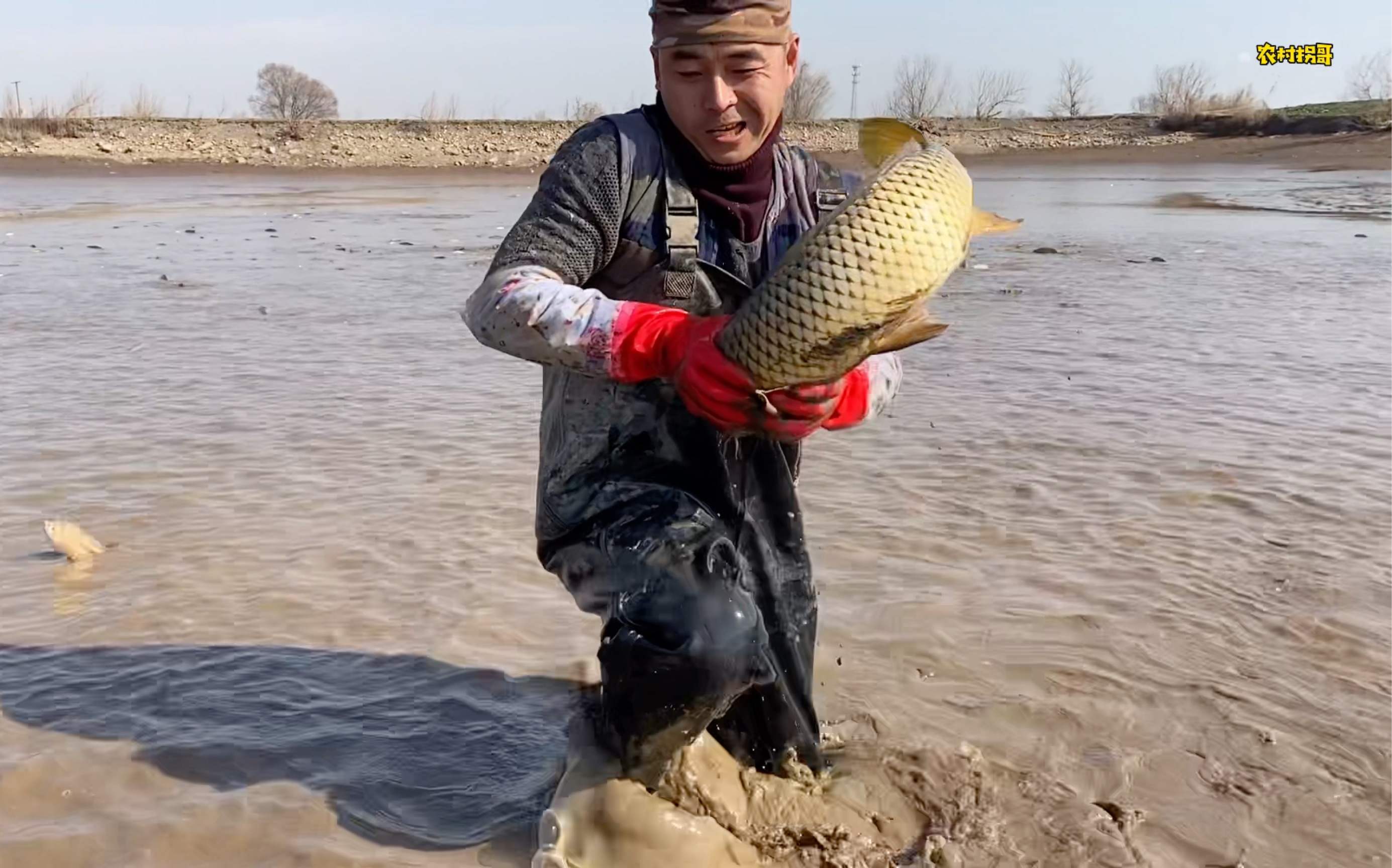拐哥第一次抓鱼抓到手软,大鱼太多,拐哥直呼太过瘾了!