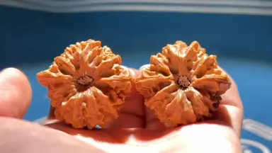 文玩核桃龙门涧-哔哩哔哩_Bilibili