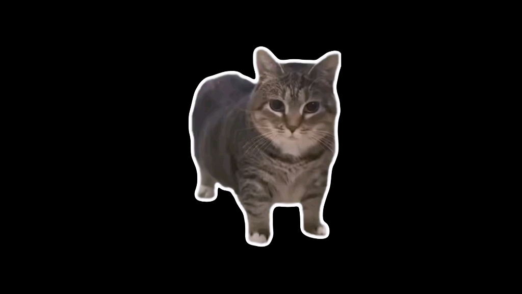 最终鬼畜oiiai猫