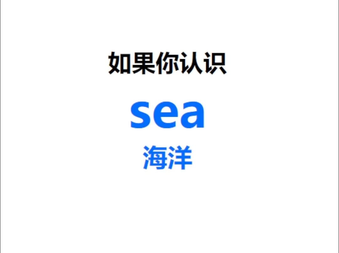 [点关注,一秒记单词sea系列单词记更多]哔哩哔哩bilibili