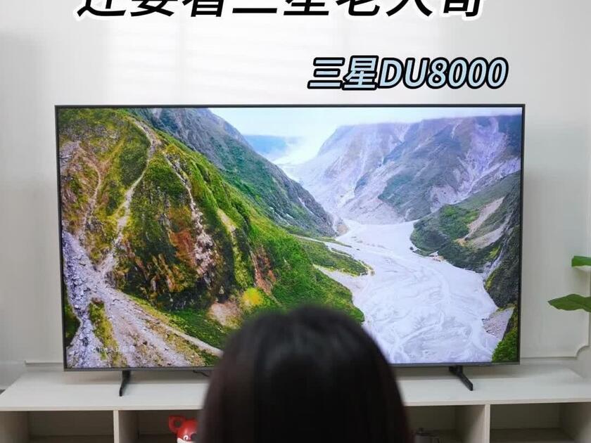 三星电视75DU8000C 75英寸平板液晶AI电视超薄4K AI智能补帧无开机广告