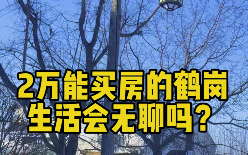 2万鹤岗买房的生活会无聊吗?哔哩哔哩bilibili