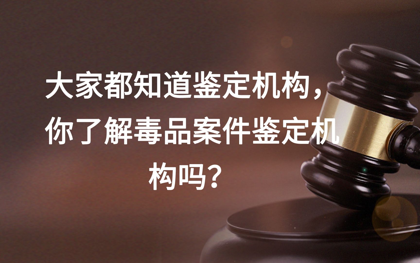 大家都知道鉴定机构,你了解毒品案件鉴定机构吗?哔哩哔哩bilibili