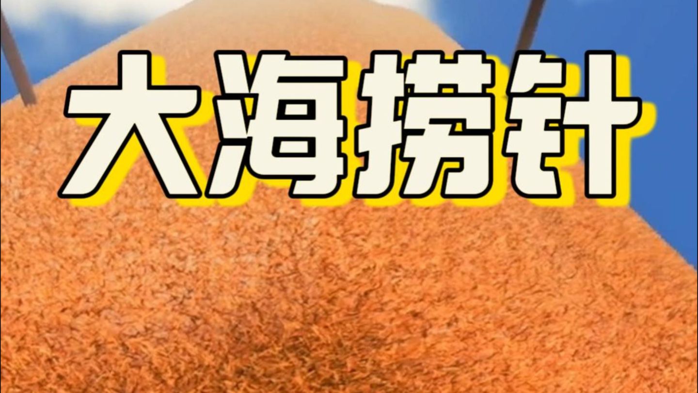 三亿根茅草里面找到一根针