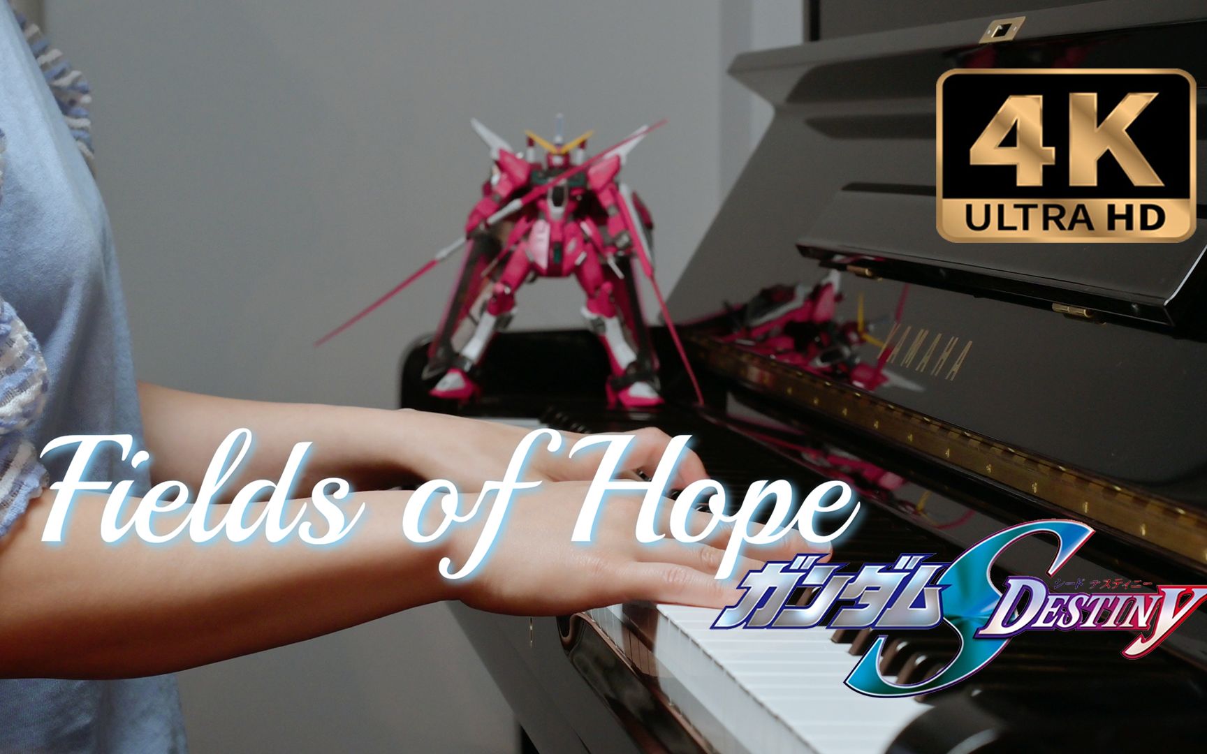 【高达Seed Destiny】Fields of Hope 田中理惠 梶浦由记 [钢琴版]哔哩哔哩bilibili