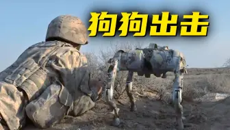 起猛了，看见解放军携机器狗抵达战场......