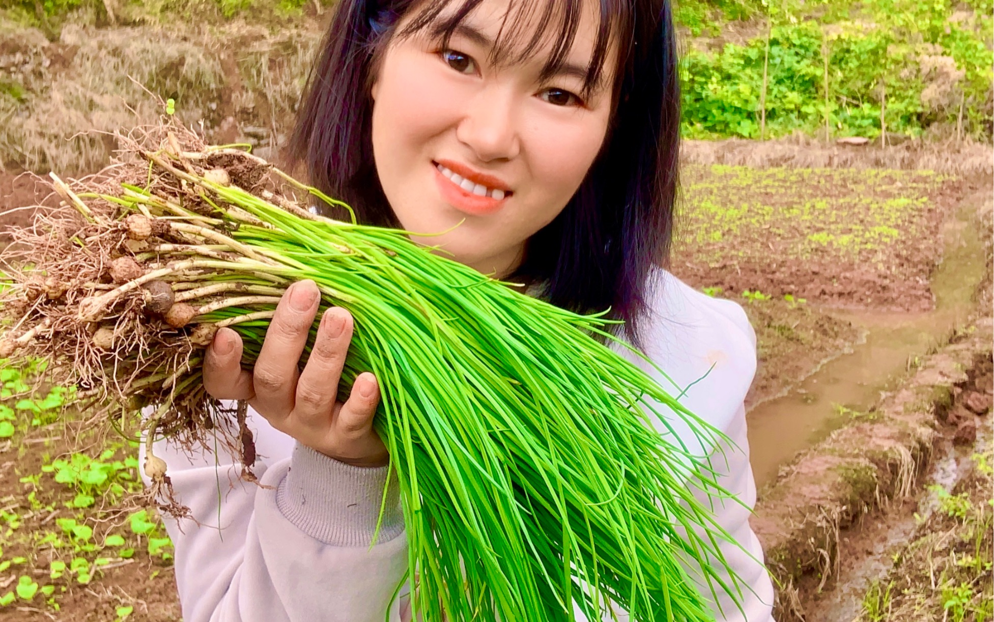 田野边采一把胡葱来炒,隔壁邻居闻着香味前来尝鲜