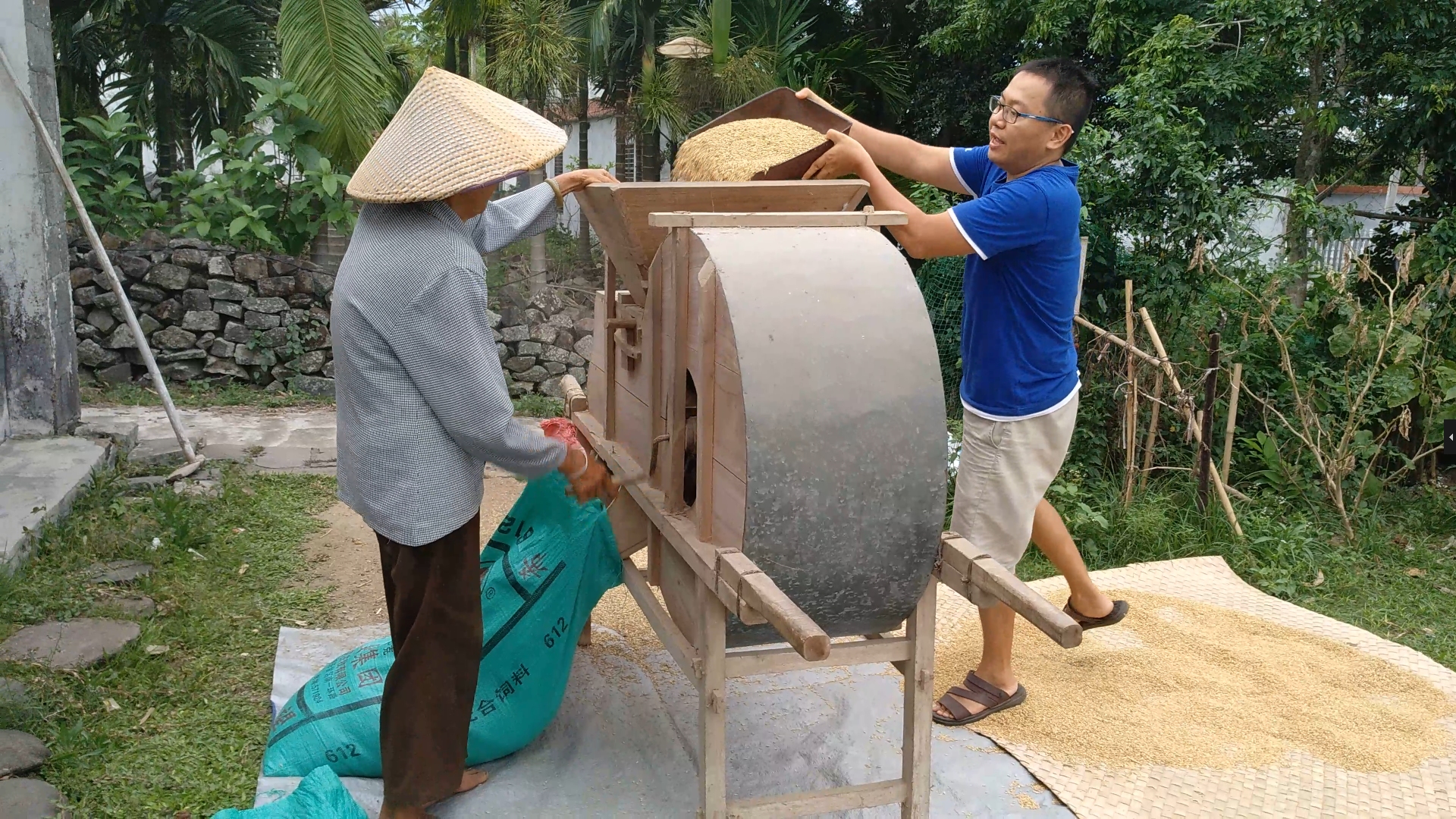 农村80后大学生摇传统木风车扇稻谷,为何70岁妈妈却说你让开我来