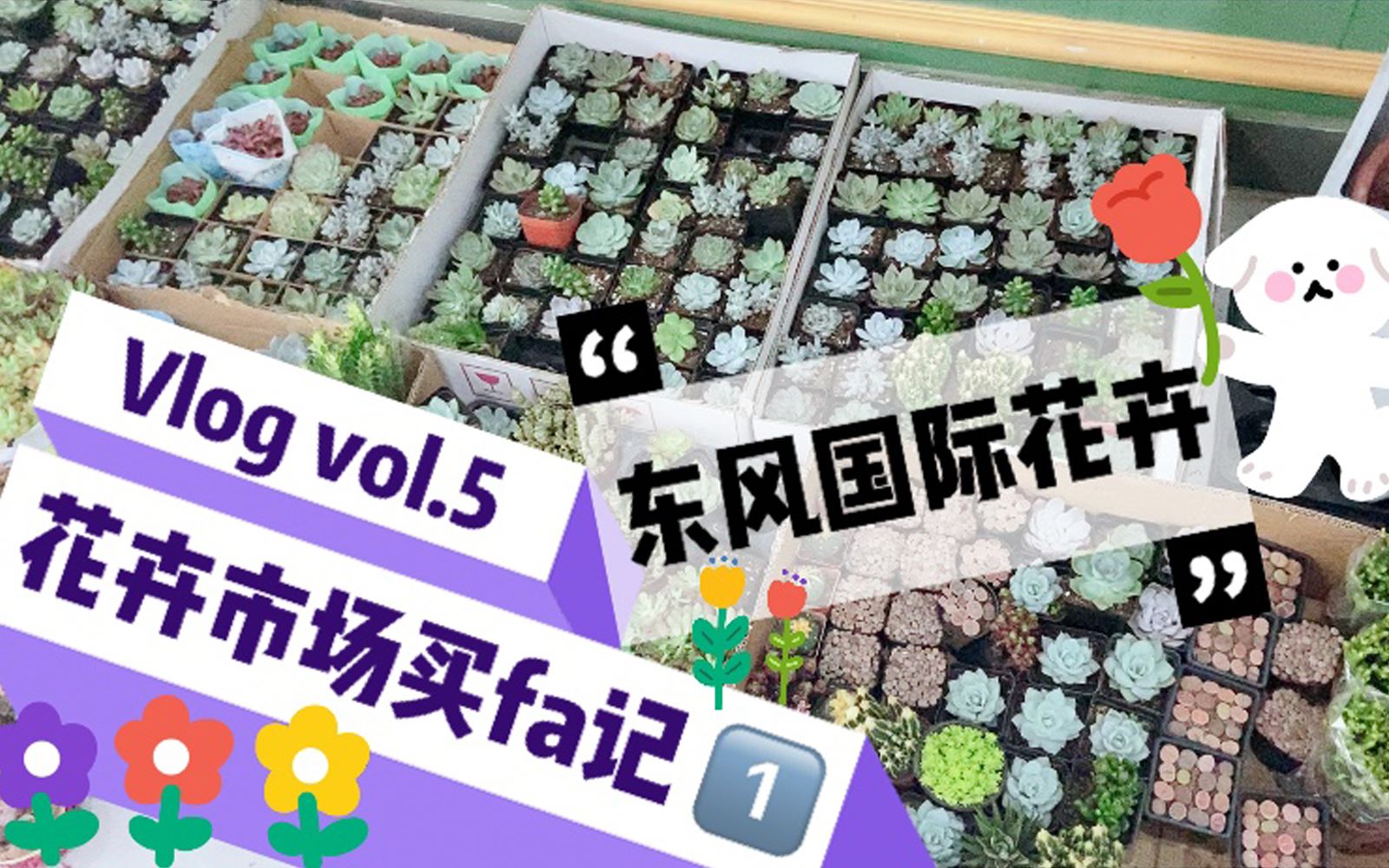 【vlog vol.5 买花/探店】在北京,去哪儿买花儿?[1]——东风国际花卉哔哩哔哩bilibili