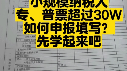 小规模纳税人,专票、普票超过30万如何填写申报?哔哩哔哩bilibili