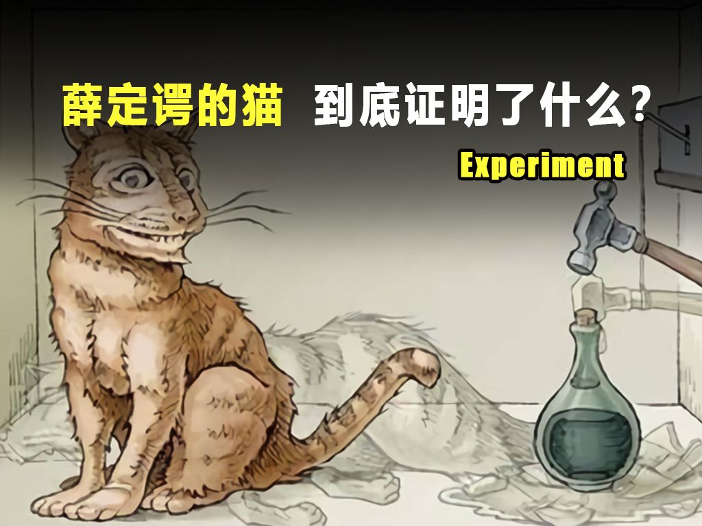 物理学四大神兽之薛定谔的猫,到底证明了什么道理?哔哩哔哩bilibili