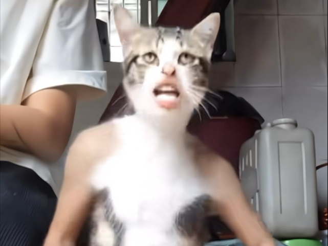 小心震荡
