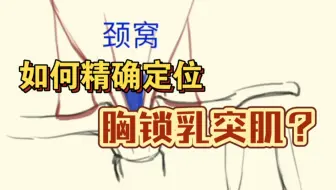 如何精确定位胸锁乳突肌？
