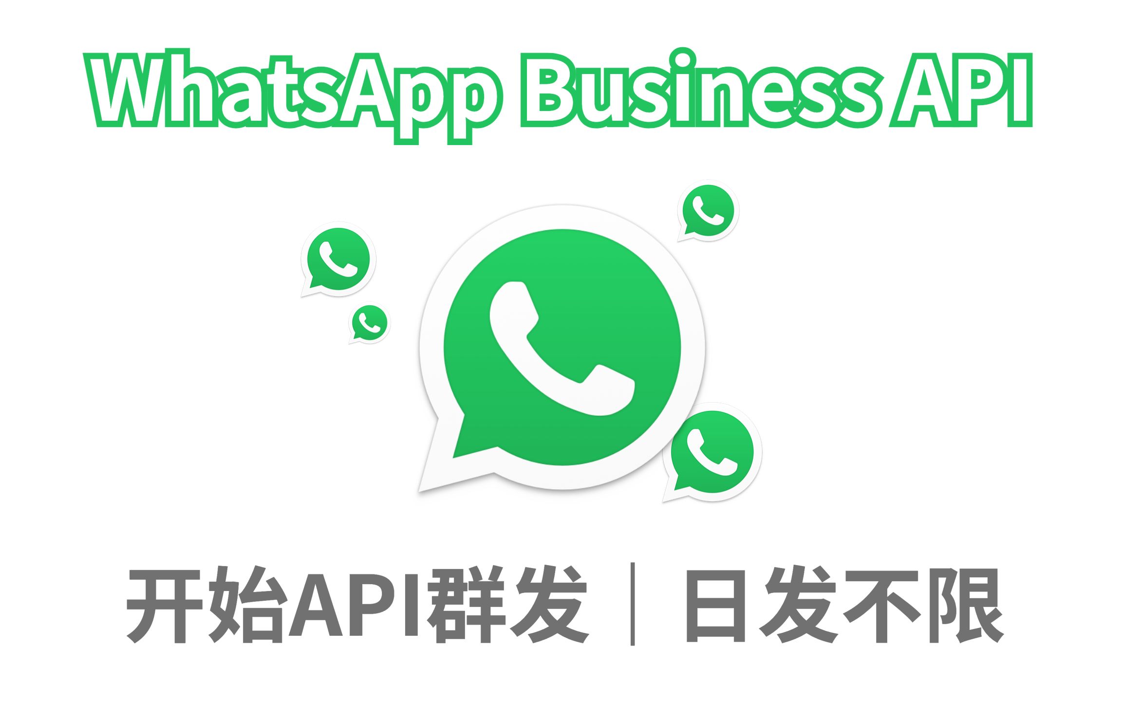 第 10 课|WhatsApp官方API接口群发|日发1000000哔哩哔哩bilibili