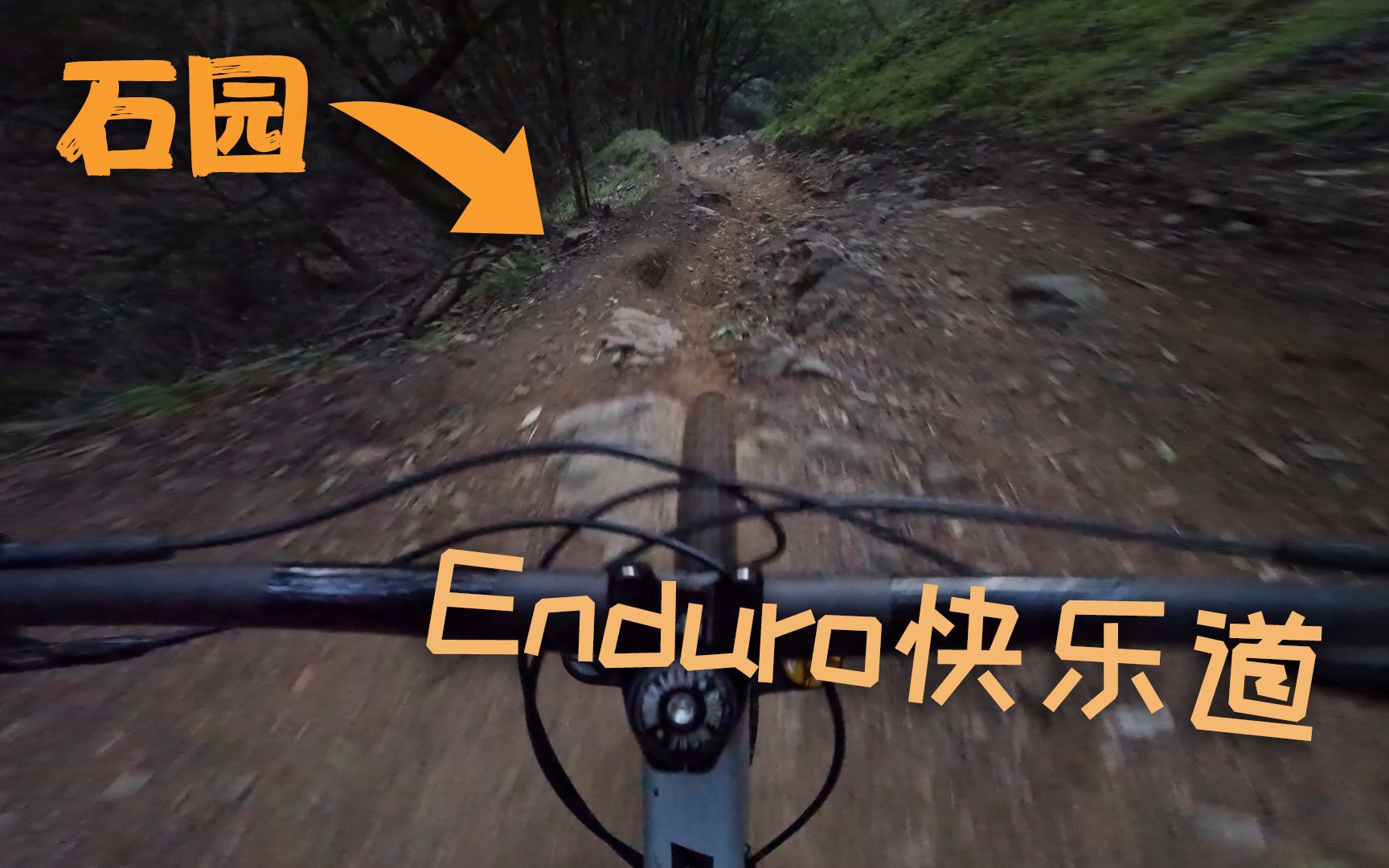 这才是Enduro的理想地形红杉树林里的乱石树根落差哔哩哔哩bilibili