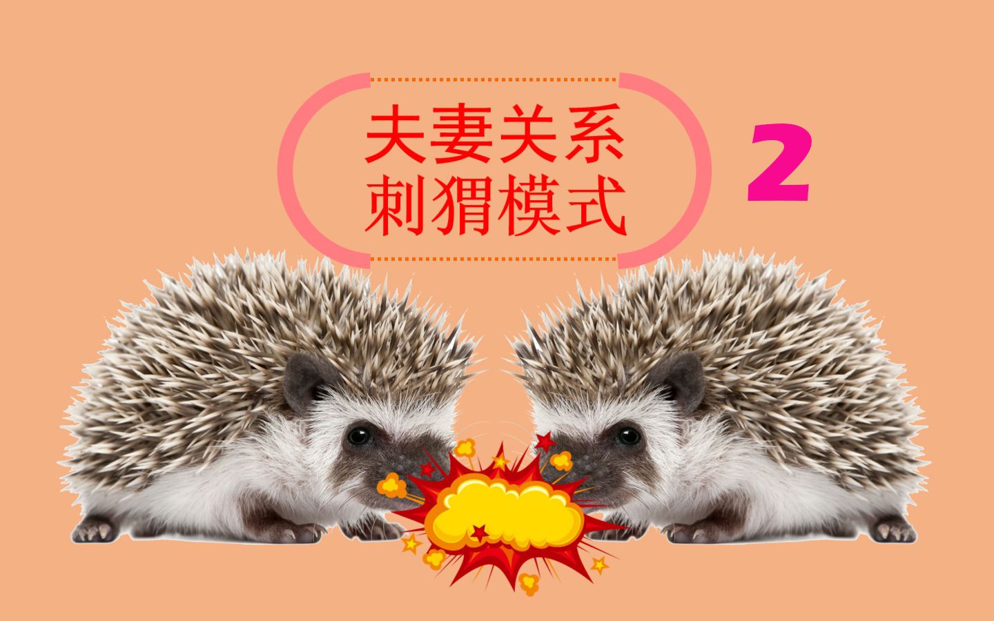你生活在这样的刺猬家庭吗?幸福吗?是你想要的生活吗?