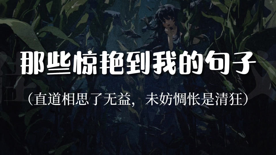 “但祈世间人无病,何愁架上药生尘”‖一些很惊艳的句子哔哩哔哩bilibili