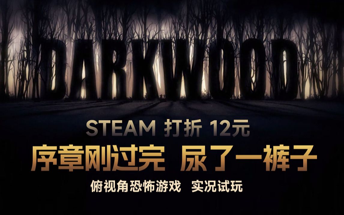 【DARKWOOD】俯视角恐怖生存游戏 吓麻了哔哩哔哩bilibili