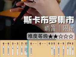 Download Video: 《斯卡布罗集市》哨笛｜附谱