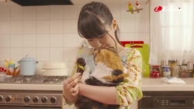 My Serment 伊藤加奈恵 Cr 织田信奈的野望 哔哩哔哩 つロ干杯 Bilibili