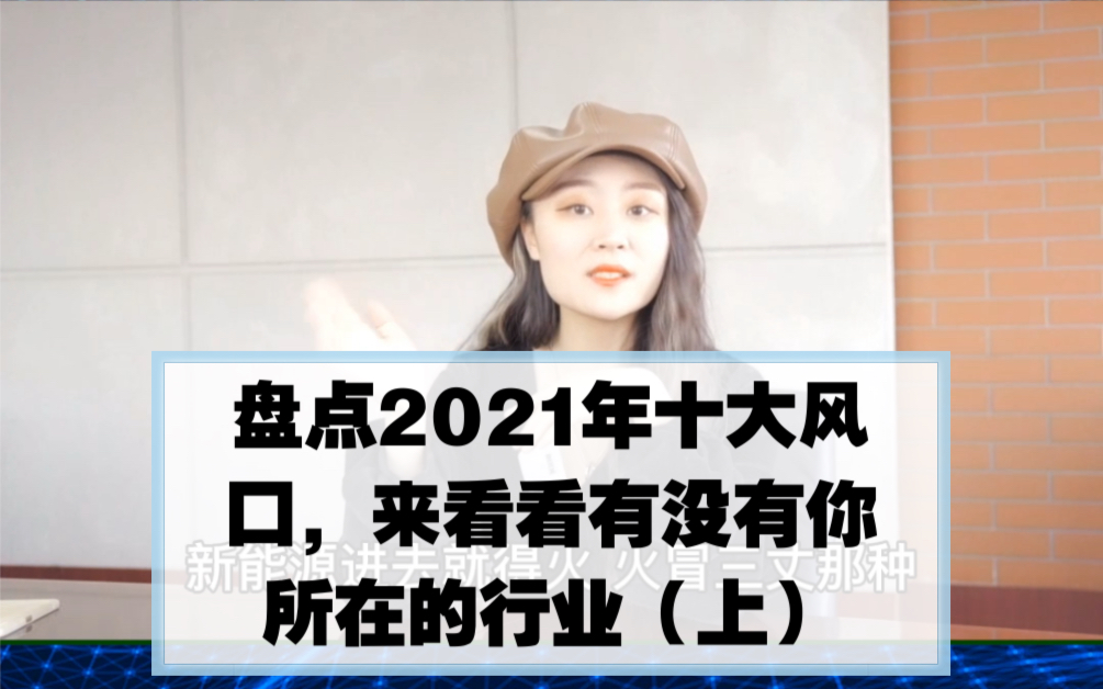 #风口说 盘点2021年十大风口,来看看有没有你所在的行业哔哩哔哩bilibili