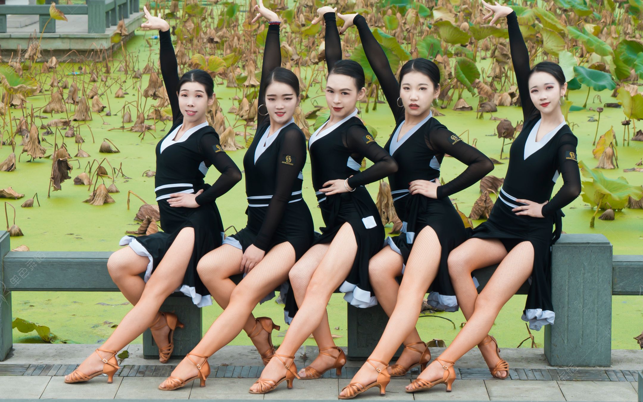 【单色舞蹈】(武汉)拉丁舞