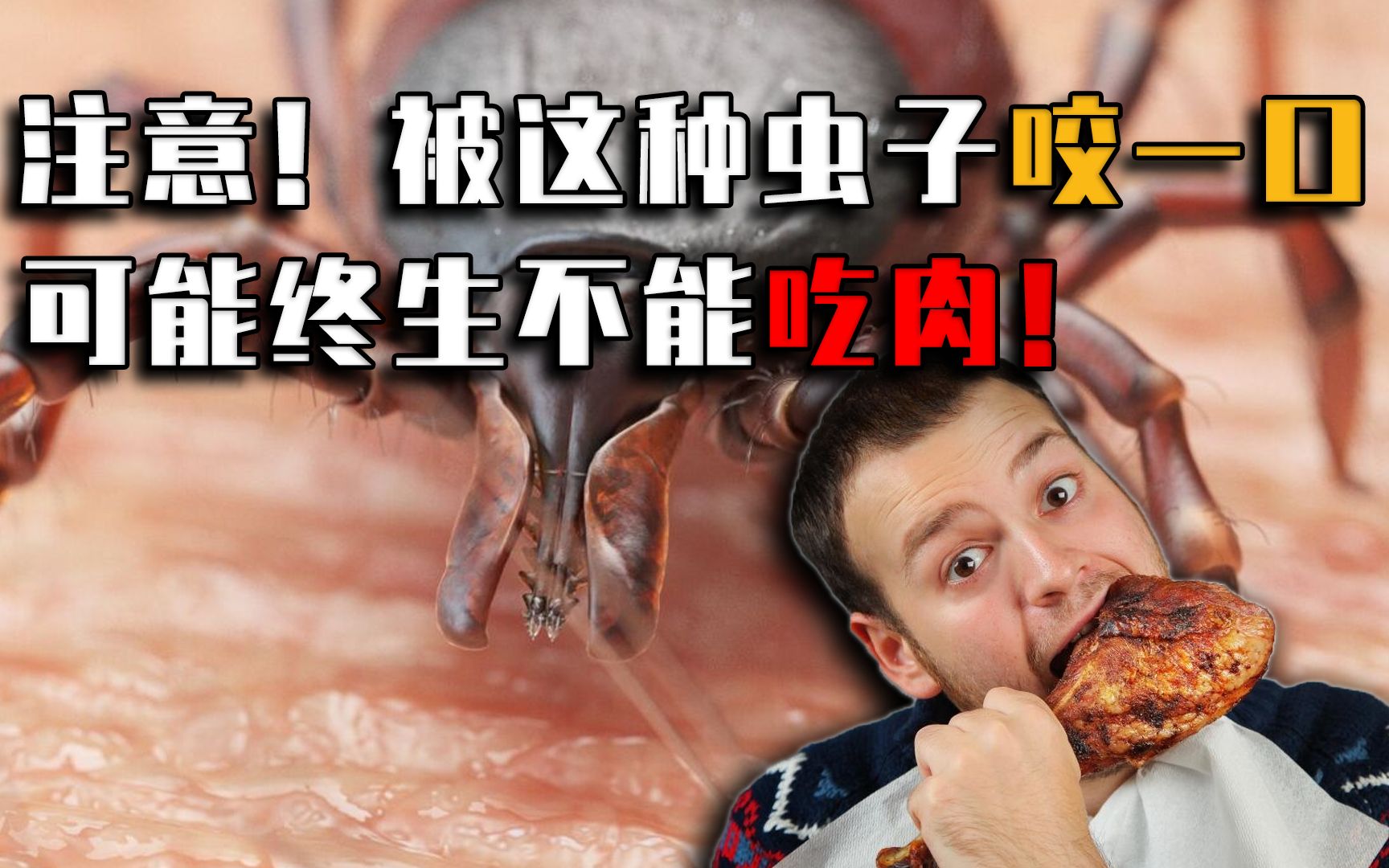 被咬一口终生不能吃肉？美蜱虫到底有多恐怖？教你3招轻松预防！
